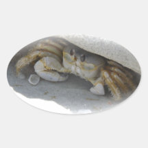 Krabbe im Sand Stickers