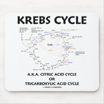 Krebs Cycle A.K.A. Citric Acid Cycle Tricarboxylic Mouse Pads