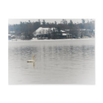 Kresge Auditorium, Interlochen Michigan Postcards
