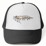 krill hats