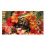 Krishna Business Card