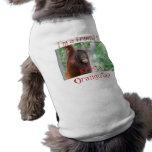 Krista Orangutan animal clothes pet clothing