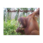 Krista Orangutan Fan Club merchandise postcards