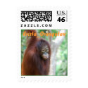 Krista Orangutan  postage stamp