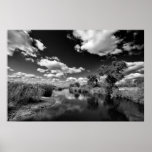 Kruger Quiescence posters