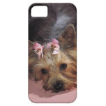 KRW Adorable Yorkie Dog iPhone 5 Cover