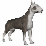 KRW Bull Terrier photo sculptures