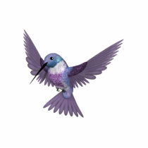 KRW Colourful Hummingbird Pin