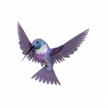 KRW Colourful Hummingbird Pin photo sculptures
