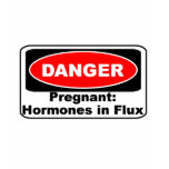 KRW Danger Pregnancy Hormones Funny t-shirts