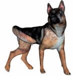 KRW German Shepherd photo sculptures