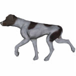 KRW German Shorthaired Pointer photo sculptures