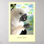 Kuckoo cockatoo poster
