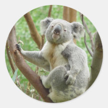 Kuddly Koala Stickers