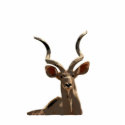 Kudu Sculpture photo sculptures