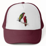 Kuhl’s Parrakeet by Edward Lear hats