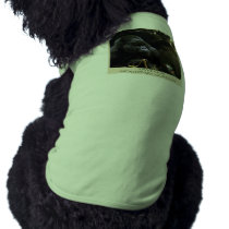 Kunga Mountain Gorilla Collection