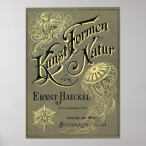 Kunstformen der Natur cover Print