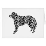 Kuvasz Greeting Card