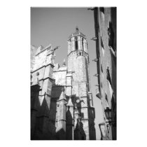 La Catedral Gargoyles Photo (Barcelona, Spain)
