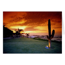 La Concha restaurant, Baja, Mexico Cards