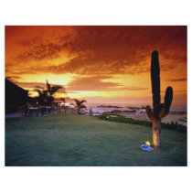 La Concha restaurant, Baja, Mexico Full Color Flyer