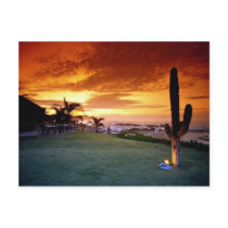 La Concha restaurant, Baja, Mexico Postcards