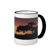 La Finca, Algorfa, Alicante, Spain sunset Mug