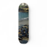 La Jolla Cove Beach Waves Sand Seals Skate Board Decks