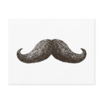 La Moustache Postcards