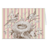 La Petite Famille on pink and cream background cards