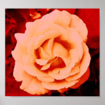 La Petite Rose Poster