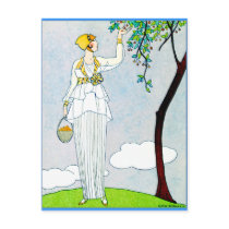 La Saison Des Prunes Mirabelles Post Cards