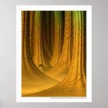 La selva de las palabras posters