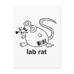 Lab Rat Post Card