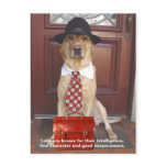 Lab Traits - Fine Character postcards