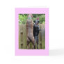 Labarador Dogs card