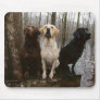labrado mouse pad