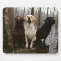 labrado mouse pad mousepads