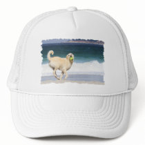 Labradoodle - Happy Day on the Beach Hats