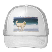 Labradoodle - Happy Day on the Beach Hats