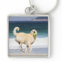 Labradoodle Happy Day on the Beach Keychain