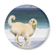 Labradoodle Happy Day on the Beach Magnet