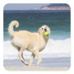 Labradoodle - Happy Day on the Beach Square Sticker