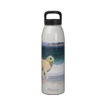 Labradoodle - Happy Day on the Beach Reusable Water Bottle