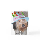Labradoodle in Birthday Hat Card