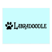 Labradoodle (pirate style w/ pawprint) postcards