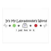 Labradoodle Post Cards