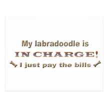 labradoodle post cards