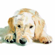 Labradoodle Pup Sculpture photo sculptures